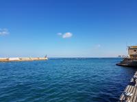 1105_Yaffa