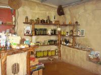 reichliche Auswahl...und alles Bio