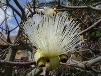 Kibbutz Ein Gedi + Botanischer Garten