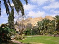 Kibbutz Ein Gedi + Botanischer Garten