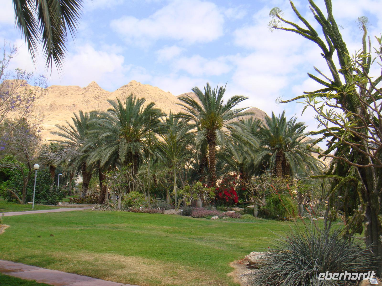 Kibbutz Ein Gedi + Botanischer Garten