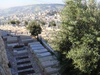 der Jüdische Friedhof