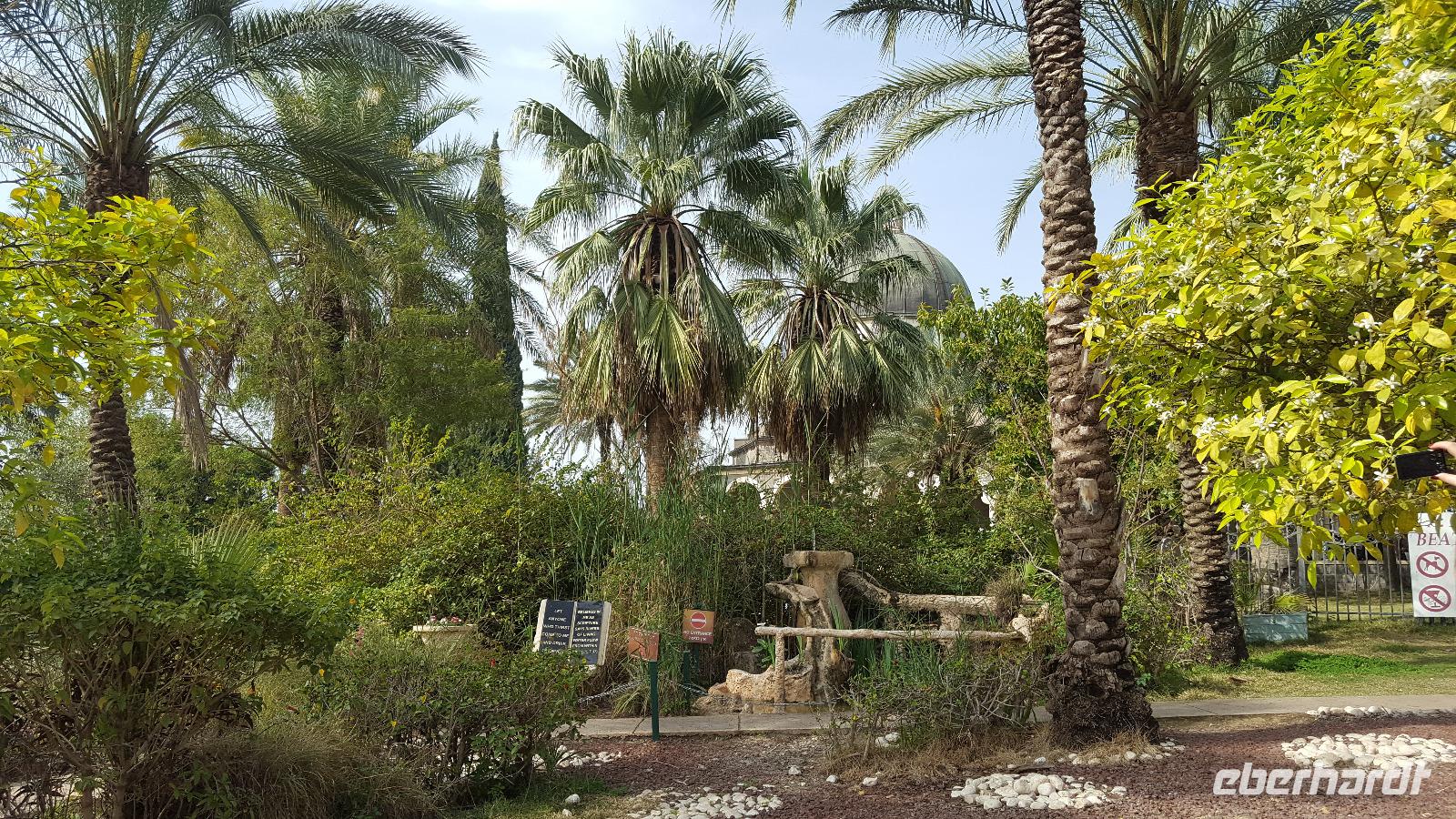 Berg der Seligpreisungen 20180320_090500