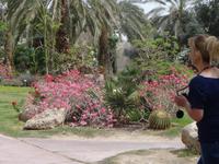 Ein Gedi botanischer Garten