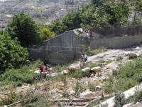 In der Nähe von Davidsstadt