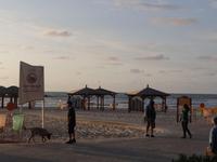 Spaziergang am Strand - Tel Aviv