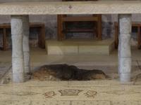 Wo Jesus das Brot verteilt hat