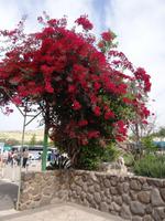 Brotvermehrungskirche