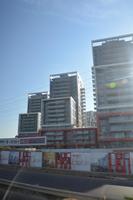 7 Stadtrundfahrt in Tel Aviv