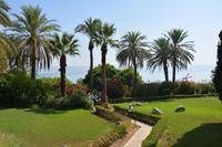 80 Berg der Seligpreisung