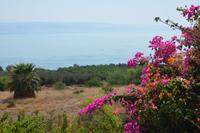 82 Blick auf den See Genezareth