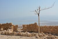 171 Felsenfestung Massada