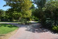 214 Botanischer Garten Ein Gedi