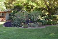 215 Botanischer Garten Ein Gedi