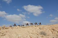 231 Nabatäerstadt Avdat