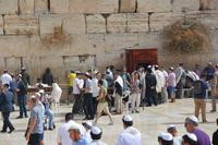 245 Jerusalem Klagemauer