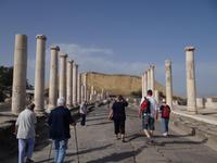 Die Paladiusstraße - Beit She'an