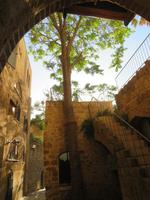 Rundreise Israel - Tel Aviv • Jaffa