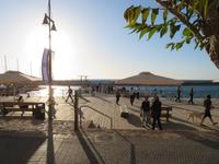 Rundreise Israel - Tel Aviv • Jaffa, Hafen