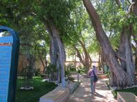 Rundreise Israel - Akko, Kreuzfahrerfestung