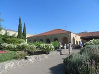 Rundreise Israel - Weinkauf an den Golanhöhen