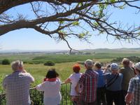 Rundreise Israel - Golanhöhen, Syrische Grenze