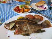 Rundreise Israel - St. Peter-Fisch 