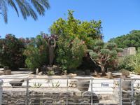 Rundreise Israel - Kapernaum