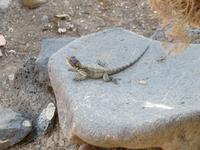 Rundreise Israel - Kapernaum