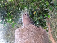 Rundreise Israel - Kapernaum