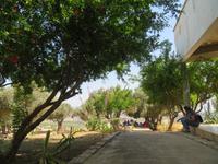 Rundreise Israel - Zippori, das antike Sephoris