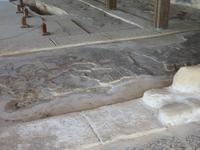 Rundreise Israel - Zippori, das antike Sephoris