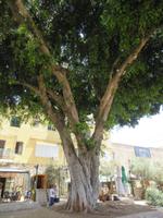 Rundreise Israel - Nazareth