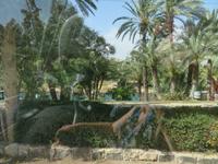 Rundreise Israel - Picknickpause in deiner Oase