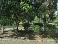 Rundreise Israel - Picknickpause in deiner Oase