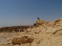 Rundreise Israel - Felsenfestung Massada