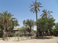 Rundreise Israel - Beduinenlager