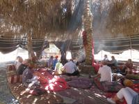 Rundreise Israel - Beduinenlager