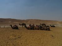 Rundreise Israel - Beduinenlager