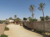 Rundreise Israel - Beduinenlager