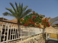 Rundreise Israel - Qumran