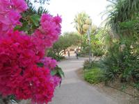 Rundreise Israel - Kibbuz Ein Gedi