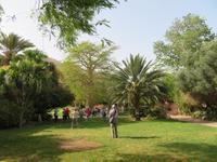 Rundreise Israel - Kibbuz Ein Gedi