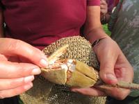 Rundreise Israel - Kibbuz Ein Gedi