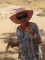 Rundreise Israel - Negev-Wüste, großer Krater