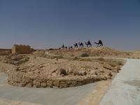 Rundreise Israel - Negev-Wüste, Avdat