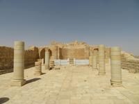 Rundreise Israel - Negev-Wüste, Avdat