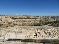 Rundreise Israel - Jerusalem, Blick vom Ölberg