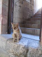 Rundreise Israel - Jerusalem