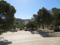 Rundreise Israel - Jerusalem, Blick zum Ölberg